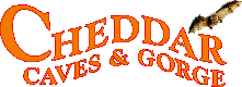 Chedder