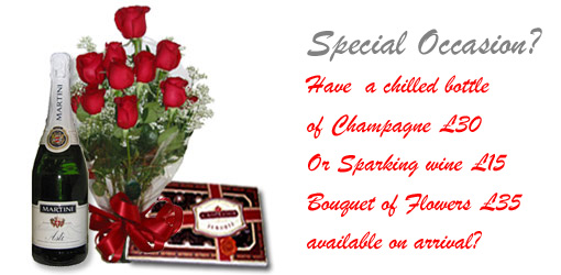 Special Occasion